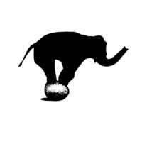 Tiny Elephant Logo