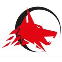Fenris Strategic Solutions Limited Logo