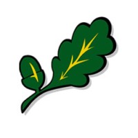 Oakwood Secondary School Horley Logo