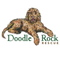 Doodle Rock Rescue Logo