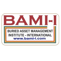 BAMI-I (Buried Assets Management Institute-International) Logo