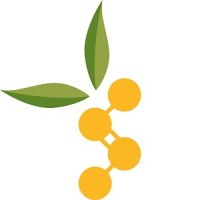 De Monchy Aromatics Logo