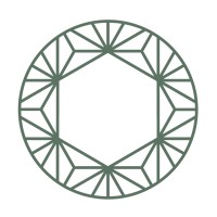 Connected Minds Logo