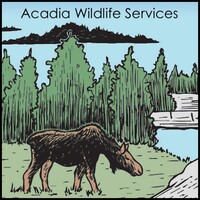 Acadia Wildlife Services Logo
