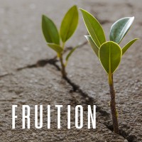 Fruition Co. Logo