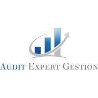 AUDIT EXPERT GESTION Logo