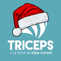 TRICEPS CONSEILS Logo