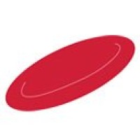 Discovering the World, Inc Logo