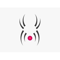 DeSpider Logo
