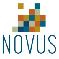 The Novus Group Logo
