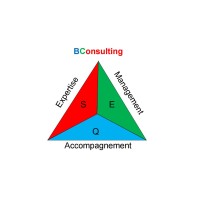 BConsulting SCS Logo