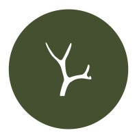 Sonora Creative Company Logo