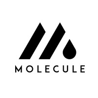 Molecule USA, Inc. Logo
