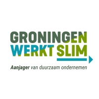 Groningen Werkt Slim Logo