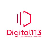 Digital 113 Logo