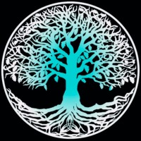 Shine On Design Logo
