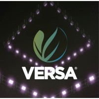 Grupo Versa Logo