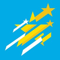 The Shooting Star Foundation Logo