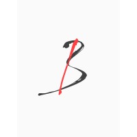BOREIRI Group Logo