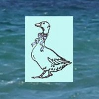 Puddleduck Cards Logo