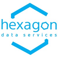 Hexagon Data Services Logo