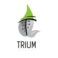 Trium Limited Consultancy Logo