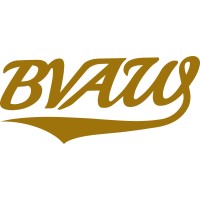 BVAW - BeachVolleyAroundtheWorld Logo