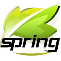 SPRING HOLDING GROUP INC Logo