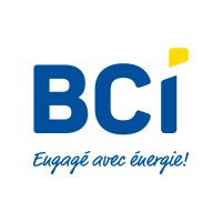BCI Logo