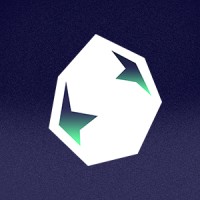 SALT Logo