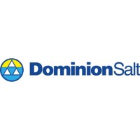 Dominion Salt Ltd Logo