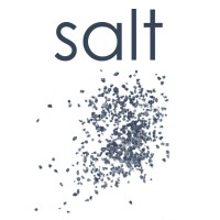 SALT Consulting Logo