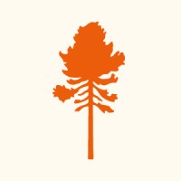 Pinewood Official Scandinavian Outdoor Life Logo
