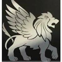 Advanced Protection Company Logo