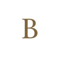 Britely Property Logo
