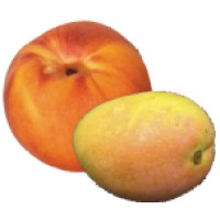 PeachyMango Logo