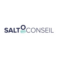 Salto Conseil Logo