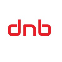 dnbbilisim Logo