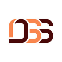 Defense Systems and Services, LLC Logo