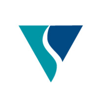 Viseon, Inc. Logo