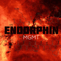 Endorphin Management Logo