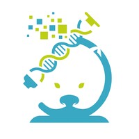 Viscient Logo