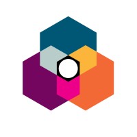 Vivid Reveal Logo