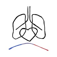 Health & Human Performance Foundation Logo
