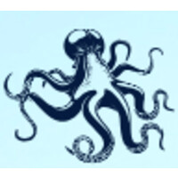 Nereus Medical Solutions Logo