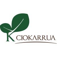 Ciokarrua srl Logo