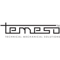 Temeso Logo