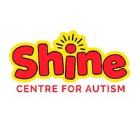 Shine Ireland Logo