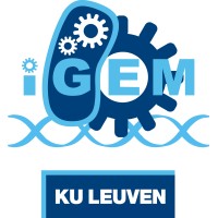 iGEM KU Leuven Logo