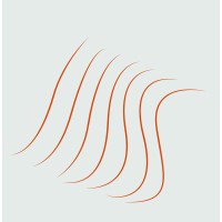 The Seeking State Logo